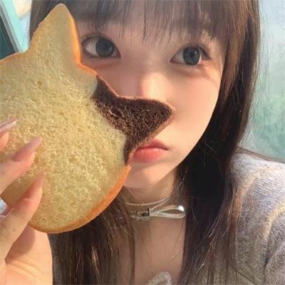 房子的故事